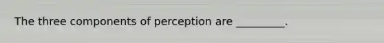 The three components of perception are _________.