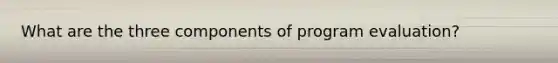 What are the three components of program evaluation?