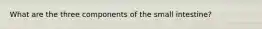 What are the three components of the small intestine?