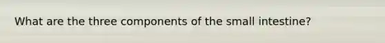 What are the three components of the small intestine?