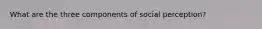 What are the three components of social perception?