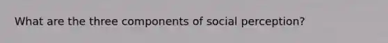What are the three components of social perception?