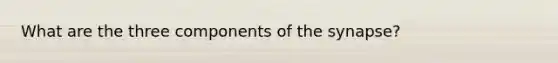 What are the three components of the synapse?