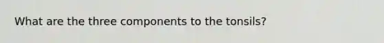 What are the three components to the tonsils?