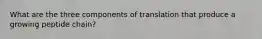 What are the three components of translation that produce a growing peptide chain?