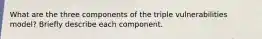 What are the three components of the triple vulnerabilities model? Briefly describe each component.