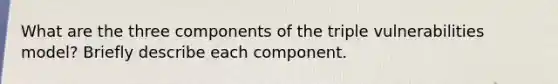 What are the three components of the triple vulnerabilities model? Briefly describe each component.