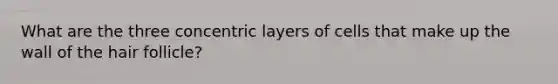 What are the three concentric layers of cells that make up the wall of the hair follicle?