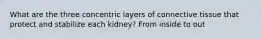 What are the three concentric layers of connective tissue that protect and stabilize each kidney? From inside to out