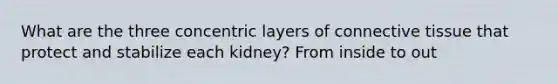 What are the three concentric layers of connective tissue that protect and stabilize each kidney? From inside to out