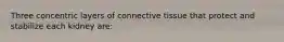 Three concentric layers of connective tissue that protect and stabilize each kidney are: