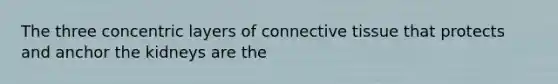 The three concentric layers of connective tissue that protects and anchor the kidneys are the