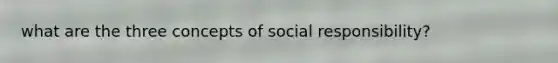 what are the three concepts of social responsibility?