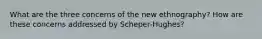 What are the three concerns of the new ethnography? How are these concerns addressed by Scheper-Hughes?