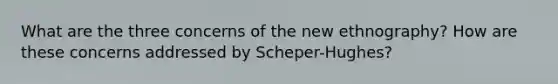 What are the three concerns of the new ethnography? How are these concerns addressed by Scheper-Hughes?