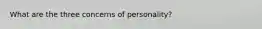 What are the three concerns of personality?