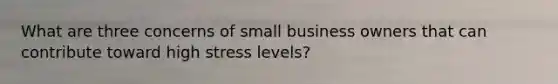 What are three concerns of small business owners that can contribute toward high stress levels?