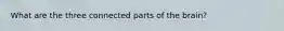What are the three connected parts of the brain?