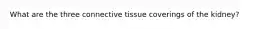 What are the three connective tissue coverings of the kidney?
