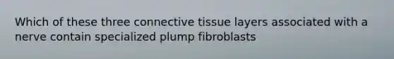 Which of these three connective tissue layers associated with a nerve contain specialized plump fibroblasts