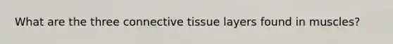 What are the three connective tissue layers found in muscles?