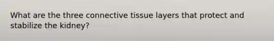 What are the three connective tissue layers that protect and stabilize the kidney?