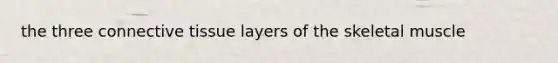 the three <a href='https://www.questionai.com/knowledge/kYDr0DHyc8-connective-tissue' class='anchor-knowledge'>connective tissue</a> layers of the skeletal muscle