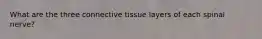 What are the three connective tissue layers of each spinal nerve?