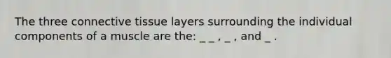 The three connective tissue layers surrounding the individual components of a muscle are the: _ _ , _ , and _ .