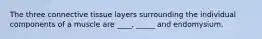 The three connective tissue layers surrounding the individual components of a muscle are ____, _____ and endomysium.