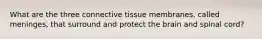 What are the three connective tissue membranes, called meninges, that surround and protect the brain and spinal cord?