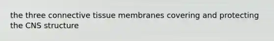 the three connective tissue membranes covering and protecting the CNS structure