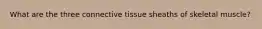 What are the three connective tissue sheaths of skeletal muscle?