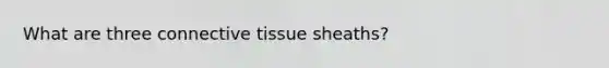 What are three connective tissue sheaths?