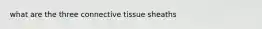 what are the three connective tissue sheaths