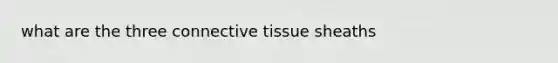 what are the three connective tissue sheaths