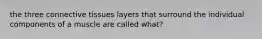 the three connective tissues layers that surround the individual components of a muscle are called what?