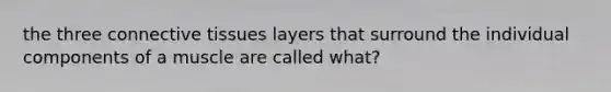 the three connective tissues layers that surround the individual components of a muscle are called what?