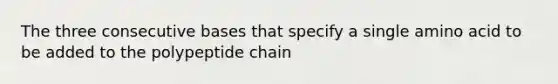 The three consecutive bases that specify a single amino acid to be added to the polypeptide chain