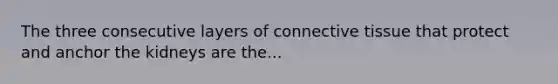 The three consecutive layers of <a href='https://www.questionai.com/knowledge/kYDr0DHyc8-connective-tissue' class='anchor-knowledge'>connective tissue</a> that protect and anchor the kidneys are the...