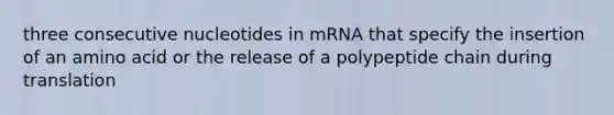 three consecutive nucleotides in mRNA that specify the insertion of an amino acid or the release of a polypeptide chain during translation