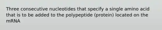 Three consecutive nucleotides that specify a single amino acid that is to be added to the polypeptide (protein) located on the mRNA