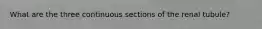 What are the three continuous sections of the renal tubule?