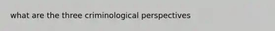 what are the three criminological perspectives