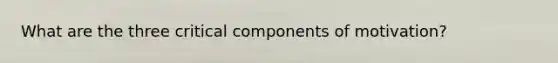 What are the three critical components of motivation?