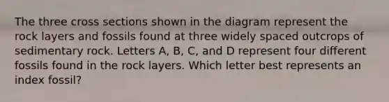 The three cross sections shown in the diagram represent the rock layers and fossils found at three widely spaced outcrops of sedimentary rock. Letters A, B, C, and D represent four different fossils found in the rock layers. Which letter best represents an index fossil?