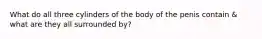 What do all three cylinders of the body of the penis contain & what are they all surrounded by?