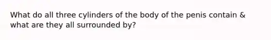 What do all three cylinders of the body of the penis contain & what are they all surrounded by?