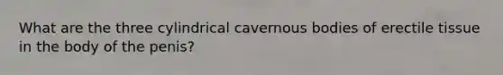 What are the three cylindrical cavernous bodies of erectile tissue in the body of the penis?