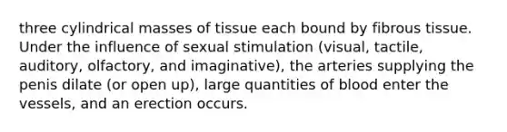 three cylindrical masses of tissue each bound by fibrous tissue. Under the influence of sexual stimulation (visual, tactile, auditory, olfactory, and imaginative), the arteries supplying the penis dilate (or open up), large quantities of blood enter the vessels, and an erection occurs.